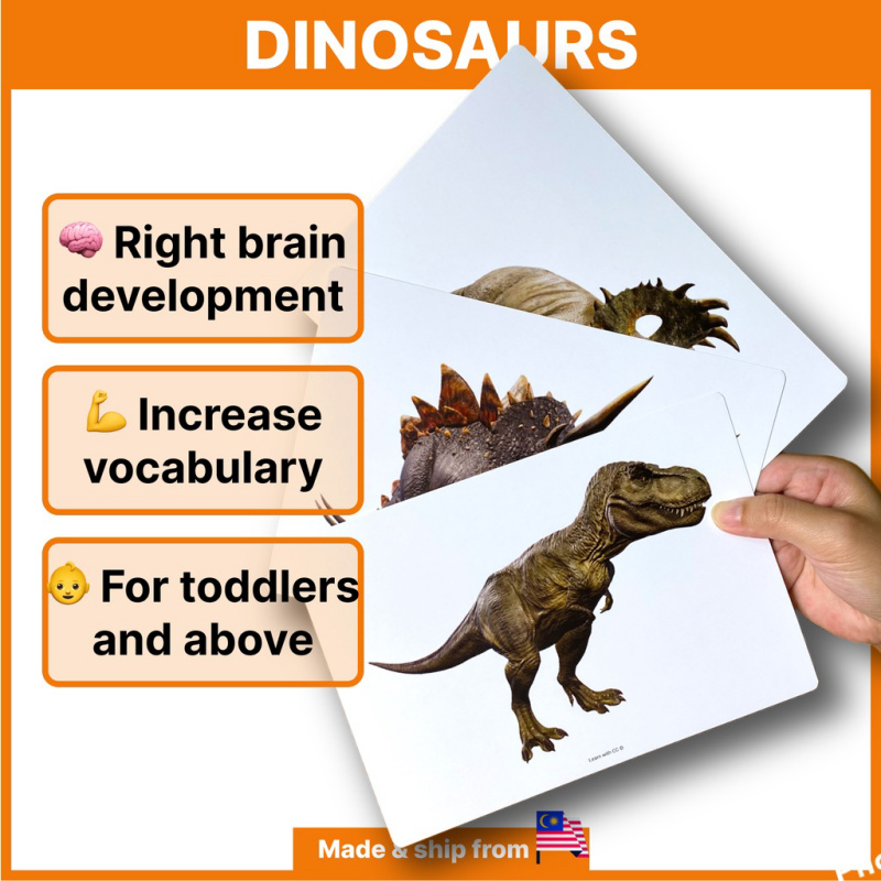 Dinosaurs Flashcards for Kids Dinosaurs Flashcards for Kids